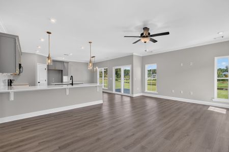 New construction Single-Family house 152 Hanover Pl, Richmond Hill, GA 31324 plan Edisto - image 18