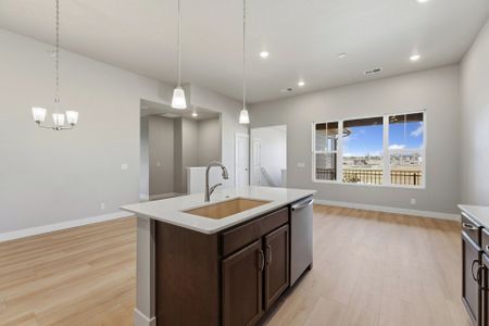 New construction Single-Family house 6793 Maple Leaf Dr, Unit 202, Timnath, CO 80547 plan Monarch - image 8