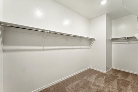 New construction Single-Family house 2551 E Homesteaders Rd, San Tan Valley, AZ 85140 plan Ruby RV - image 10