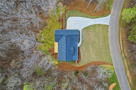 New construction Single-Family house 171 Bluff Creek Ln, Ball Ground, GA 30107 - image