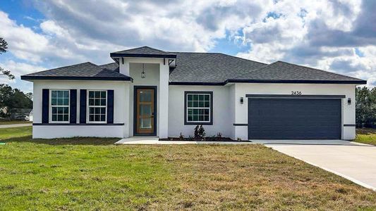 New construction Single-Family house 2436 Sw 155Th Ln, Ocala, FL 34473 null- photo 0