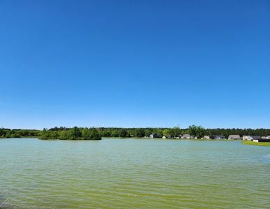 New construction Single-Family house 39 Waycross Dr, Ridgeville, SC 29472 plan Putnam  - image 10