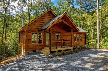 New construction Single-Family house 100 Crystal Oliver Ln, Cherry Log, GA 30522 - image