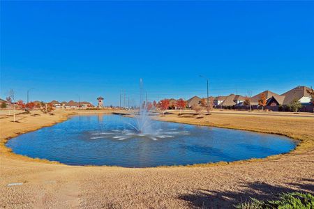 Wellington: 40ft. lots by Highland Homes in Fort Worth - photo 4 4