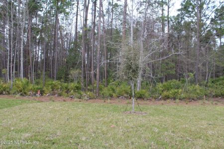 New construction Single-Family house 222 Spruce Hill Pt, St. Johns, FL 32259 Caspian- photo 24 24