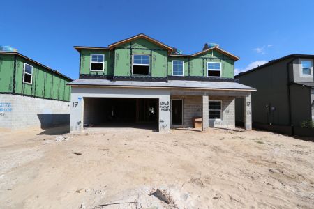 New construction Single-Family house 12168 Hilltop Farms Dr, Dade City, FL 33525 Malibu- photo 26 26