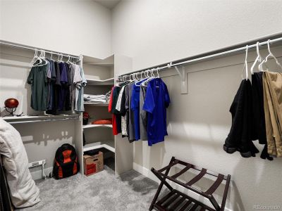 New construction Single-Family house 16015 Mountain Flax Dr, Monument, CO 80132 - image 12