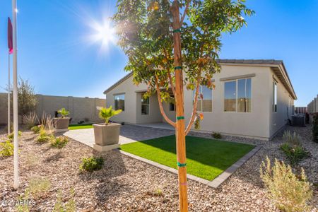 Solancia Ridge by Courtland Communities in Wittmann - image