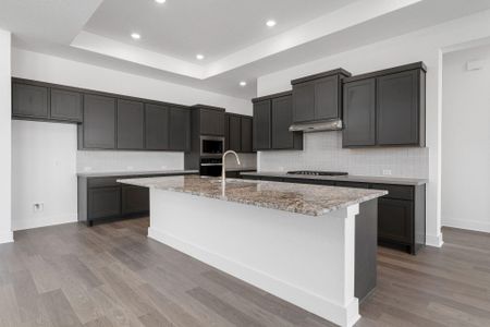 New construction Single-Family house 820 S Hemingway Lp, Liberty Hill, TX 78628 Hallsburg- photo 9 9