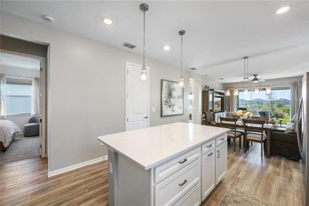 Love those drawers in the quartz top island. Meal prep anyone?