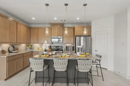 New construction Single-Family house 5127 Big Dipper Dr, Iowa Colony, TX 77583 plan Carriagehouse - image