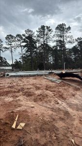 New construction Single-Family house 16859 Deep Wingbeat Wy, Magnolia, TX 77354 plan The Begonia - image 14