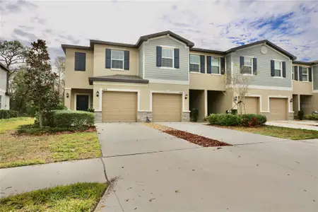 New construction Townhouse house 17620 Nectar Flume Dr, Land O' Lakes, FL 34638 - image