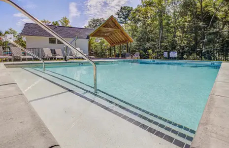 New construction Single-Family house 1170 Fulton Hall Ln, Mount Pleasant, SC 29466 - image