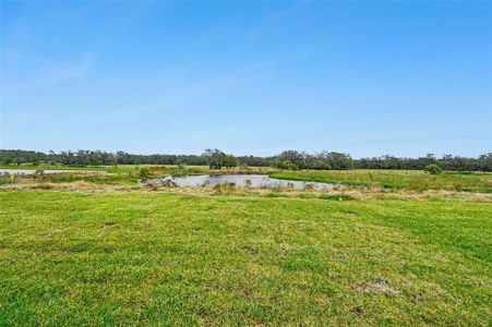 New construction Single-Family house 7760 Gilchrist Springs Dr, Parrish, FL 34219 Hibiscus- photo 6 6