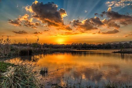 Seabourne Creek Nature Park is the largest park in Rosenberg with 208.9 acres of parkland on the Great Texas Coastal Birding Trail with over 212 species sited to date. The park is comprised of a 4-acre lake, a 6-acre wetland, and 20 acres of natural prairie.