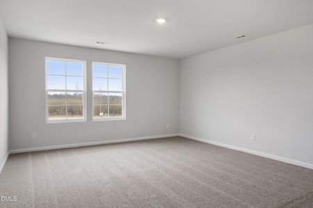 New construction Single-Family house 174 Harriette Ct, Lillington, NC 27546 plan Telfair - image 16