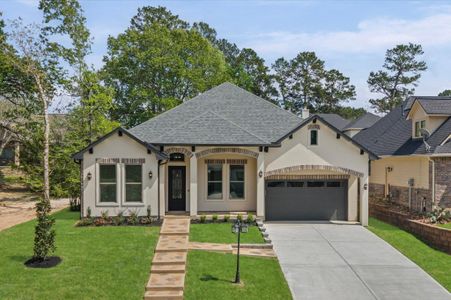 New construction Single-Family house 205 Blue Hill Dr, Montgomery, TX 77356 - image