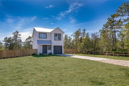 New construction Single-Family house 765 6Th Ave, Osteen, FL 32764 - image