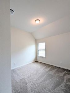 New construction Single-Family house 3934 Timberview St, Midlothian, TX 76065 plan Premier Series - Juniper - image 19