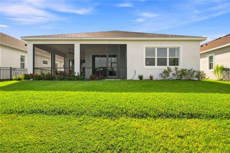 New construction Single-Family house 10037 Hammock Brook Dr, Parrish, FL 34219 - image 3