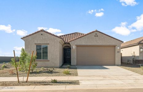 New construction Single-Family house 42910 W Peters Dr, Maricopa, AZ 85138 plan Verbena - image