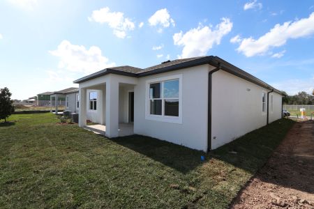 New construction Single-Family house 3150 Adams Cross Dr, Zephyrhills, FL 33540 Miranda- photo 88 88