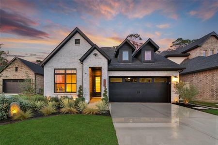 New construction Single-Family house 415 Audubons Shearwater Wy, Magnolia, TX 77354 - image