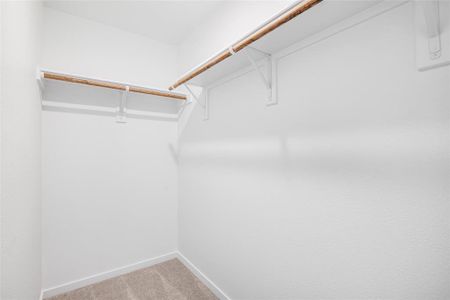 Spacious closet with carpet flooring