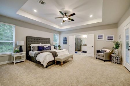 Silver Creek Ranch by DH Homes in Montgomery - photo 5 5