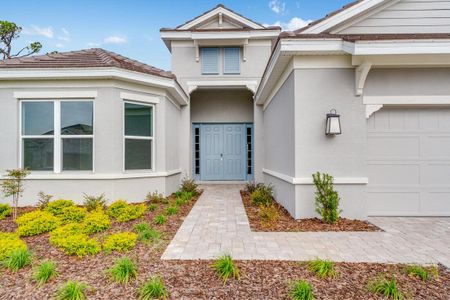 New construction Single-Family house 5234 Caserta Ct, Palmetto, FL 34221 Pallazio- photo 2 2