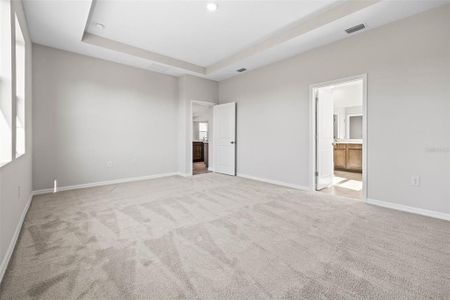 New construction Single-Family house 10471 Bridgegate Heights Lp, San Antonio, FL 33576 Camden- photo 30 30