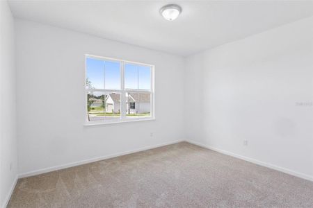 New construction Single-Family house 3712 Watercliff Cir, Grand Island, FL 32735 - image 13