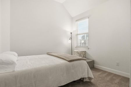 New construction Single-Family house 209 Rainier Dr, Kyle, TX 78640 - image 14