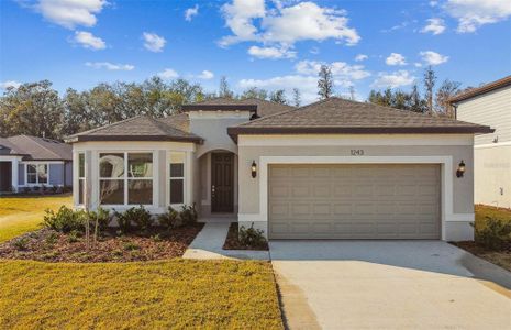 New construction Single-Family house 1243 Kazaz Ct, Zephyrhills, FL 33540 null- photo 0