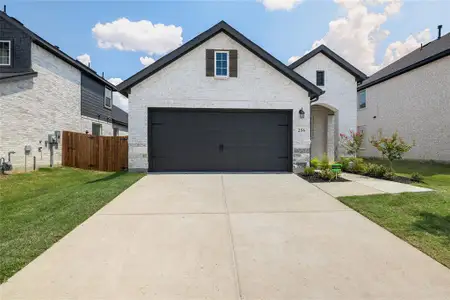 New construction Single-Family house 256 Bright Alcove Ct, Lavon, TX 75166 plan Tucker - image