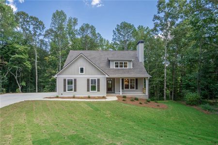 New construction Single-Family house 939 Jean Court, Covington, GA 30014 - photo 0