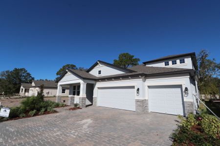 New construction Single-Family house 20243 Oriana Loop, Land O' Lakes, FL 34638 Corina  III Bonus- photo 99 99