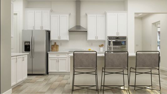 New construction Single-Family house 31544 Cardinal Yard Dr, San Antonio, FL 33576 plan Eventide II - image