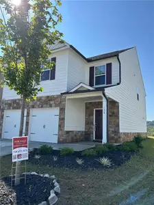 New construction Single-Family house 128 Briarwood Dr E, Dawsonville, GA 30534 - image
