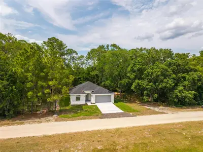 New construction Single-Family house 2132 Pine Meadows Golf Course Rd, Eustis, FL 32726 - image