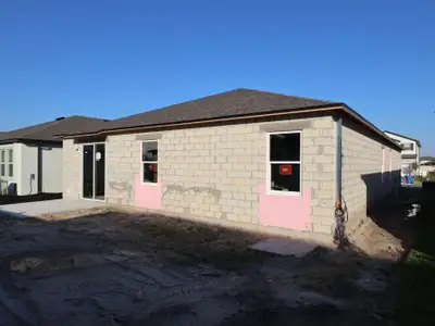 New construction Single-Family house 3109 Autumn Rock Dr, Zephyrhills, FL 33540 plan Picasso - image