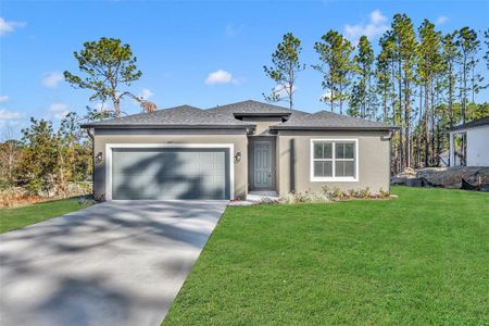 New construction Single-Family house 1607 W Diamond Drive, Citrus Springs, FL 34434 - photo 0