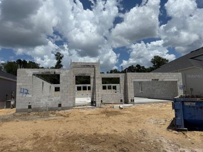 New construction Single-Family house 497 Lady Palm St, Apopka, FL 32703 plan Corina II - Eco Grand Series - image