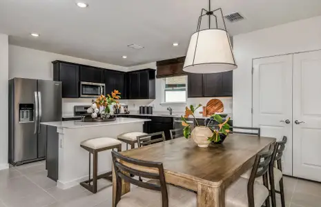 New construction Single-Family house 33489 Binding Ties Ln, Wesley Chapel, FL 33545 plan Williston - image