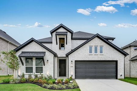 New construction Single-Family house 1509 Blue Sage Ct, Celina, TX 75009 plan Carmine - image