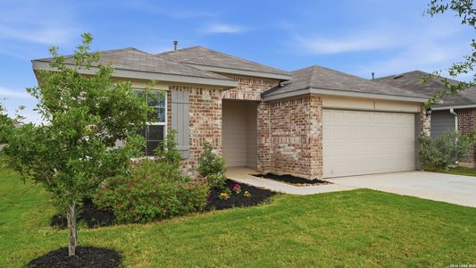 New construction Single-Family house 323 Elephants Ear, New Braunfels, TX 78130 - image