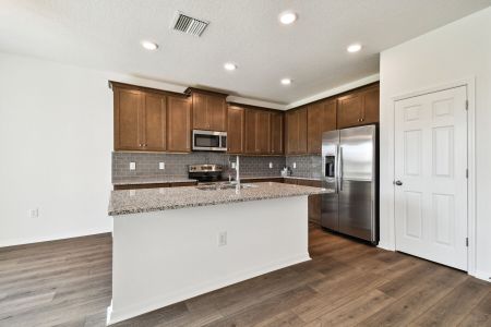 New construction Single-Family house 11855 Hilltop Farms Dr, Dade City, FL 33525 plan Marque - image 5