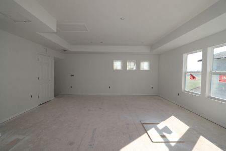 New construction Single-Family house 38413 Pindos Dr, Dade City, FL 33525 Picasso Bonus- photo 92 92