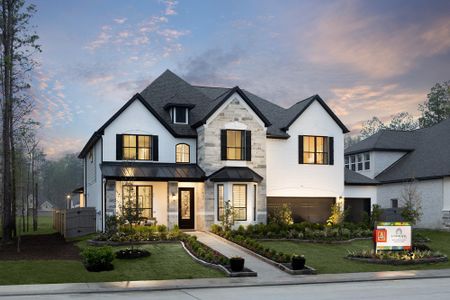 New construction Single-Family house 333 Magnolia Bloom Ct, Willis, TX 77318 - image